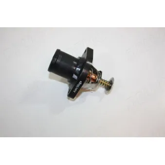 Thermostat d'eau AUTOMEGA 160086810