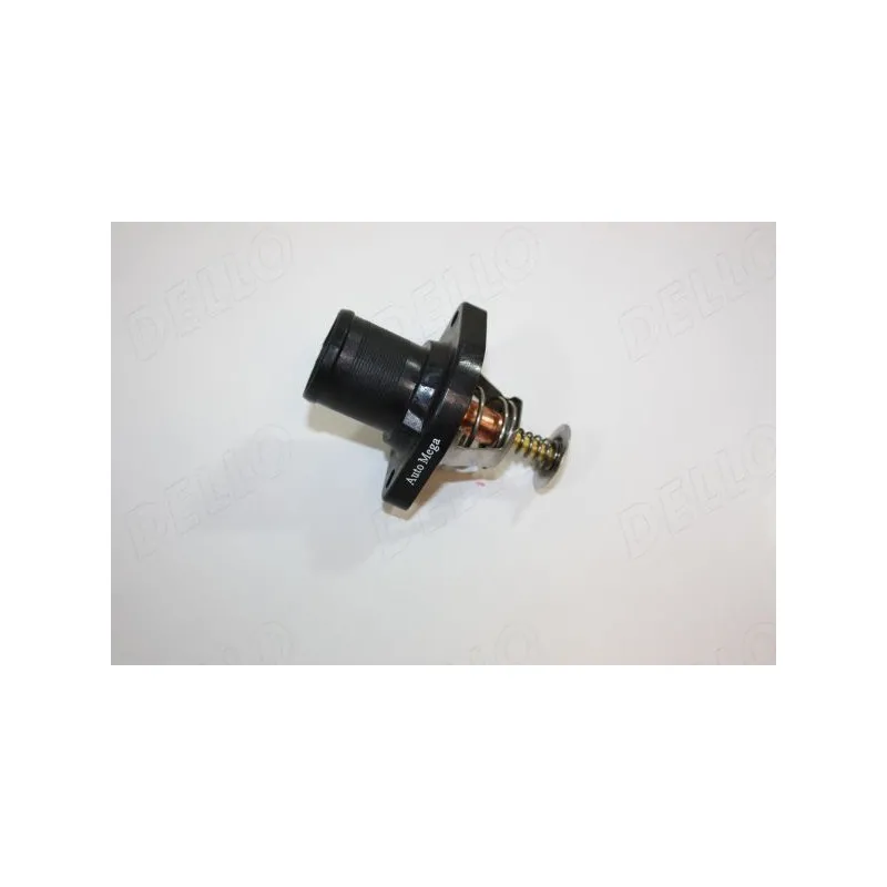 Thermostat d'eau AUTOMEGA 160086810