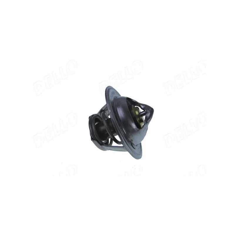 Thermostat d'eau AUTOMEGA 160088810