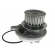 Pompe à eau AUTOMEGA 160096110 - Visuel 2
