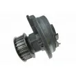Pompe à eau AUTOMEGA 160096210 - Visuel 2