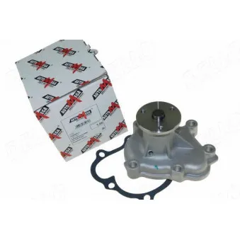 Pompe à eau AUTOMEGA 160096810