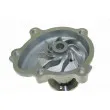 Pompe à eau AUTOMEGA 160096810 - Visuel 3