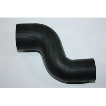 Durite de radiateur AUTOMEGA 160097910
