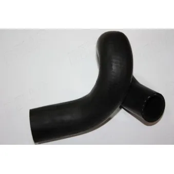 Durite de radiateur AUTOMEGA 160098410
