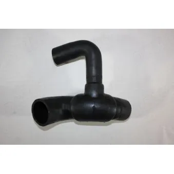 Durite de radiateur AUTOMEGA 160098510