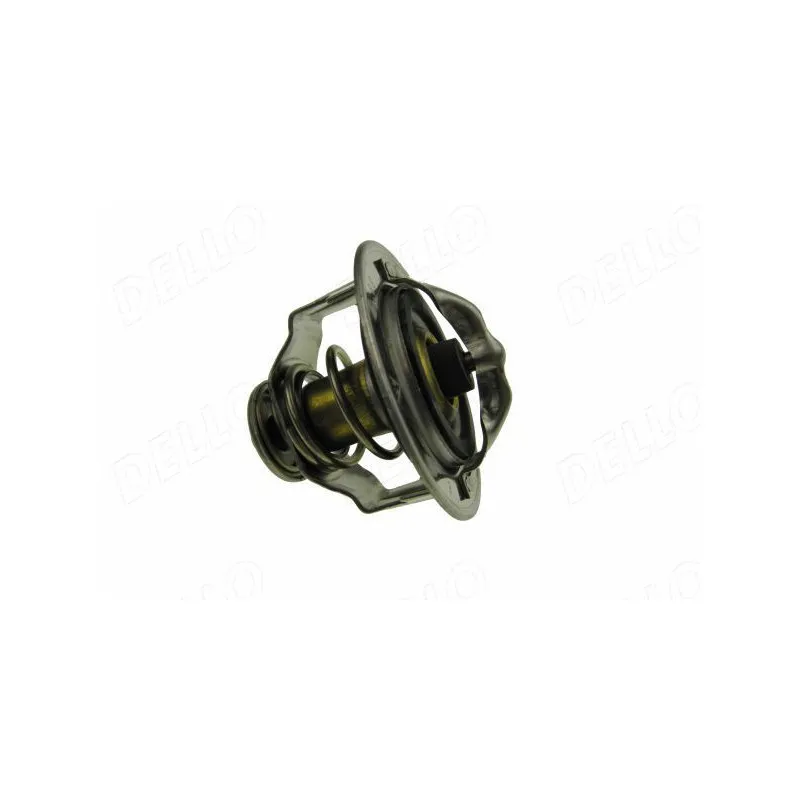 Thermostat d'eau AUTOMEGA 160099610