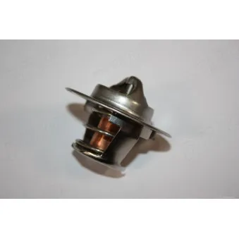 Thermostat d'eau AUTOMEGA 160099810