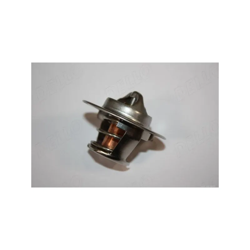 Thermostat d'eau AUTOMEGA 160099810