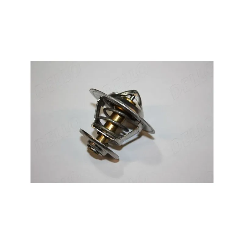 Thermostat d'eau AUTOMEGA 160099910