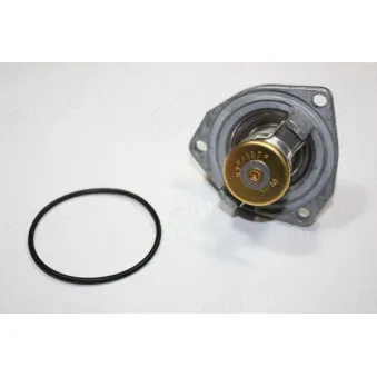 Thermostat d'eau AUTOMEGA 160100010