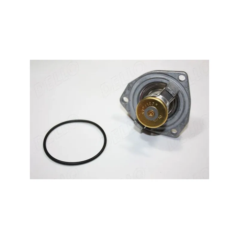Thermostat d'eau AUTOMEGA 160100010