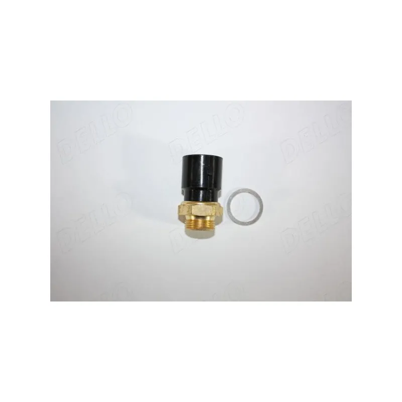 Interrupteur de température, ventilateur de radiateur AUTOMEGA 160101910