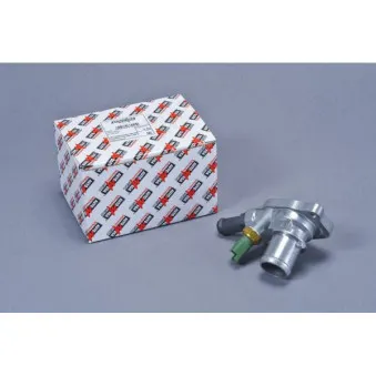 Boîtier du thermostat AUTOMEGA