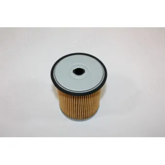 Filtre à carburant AUTOMEGA 180015110