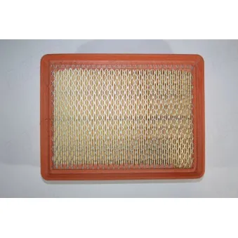 Filtre à air AUTOMEGA 180023310