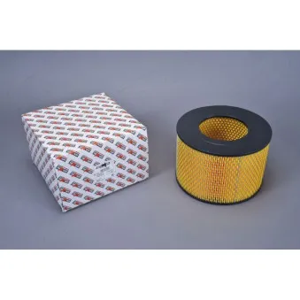 Filtre à air AUTOMEGA 180069510