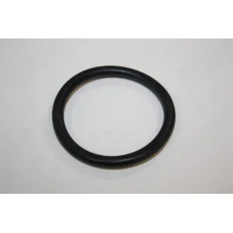 Joint d'étanchéité, thermostat AUTOMEGA 190038610