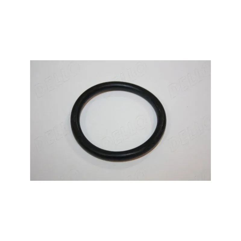 Joint d'étanchéité, thermostat AUTOMEGA 190038610