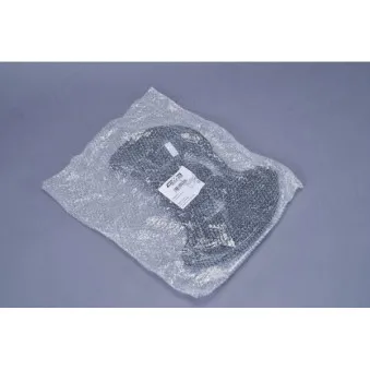 Déflecteur, disque de frein avant gauche AUTOMEGA 210034010