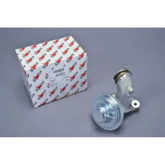 Vanne EGR AUTOMEGA 210046410