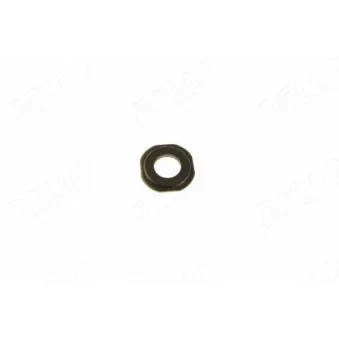 Bague d'étanchéité, compartiment du gicleur AUTOMEGA 210060710