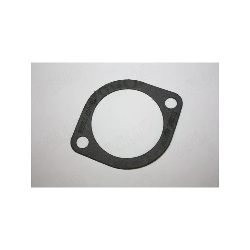 Joint d'étanchéité, boîtier du thermostat AUTOMEGA 210163810