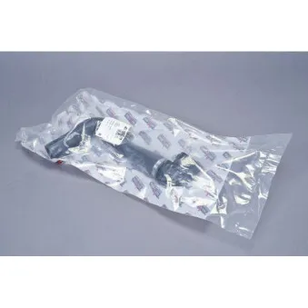 Durite de radiateur AUTOMEGA 210167310