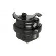 Support, suspension du moteur REINHOCH RH11-0008 - Visuel 2