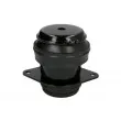 Support, suspension du moteur REINHOCH RH11-0020 - Visuel 1