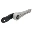 Support de palier, suspension du moteur REINHOCH RH11-0074 - Visuel 1
