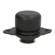 Support, suspension du moteur REINHOCH RH11-0130 - Visuel 2