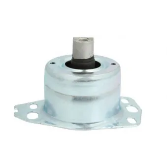 Suspension, boîte de vitesse manuelle REINHOCH RH11-1029