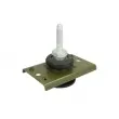 Support, suspension du moteur REINHOCH RH11-2036 - Visuel 1