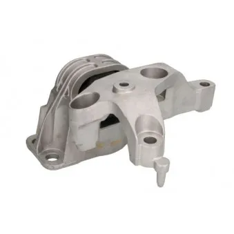 Support, suspension du moteur REINHOCH