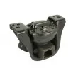 Support, suspension du moteur REINHOCH RH11-2169 - Visuel 2