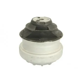 Support moteur REINHOCH RH11-3006