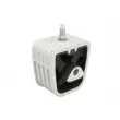 Suspension, boîte automatique REINHOCH RH11-3014 - Visuel 2