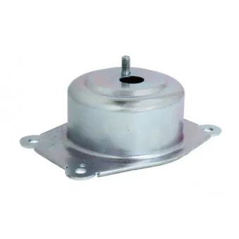 Suspension, boîte automatique REINHOCH RH11-5046