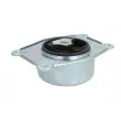 Suspension, boîte automatique REINHOCH RH11-5046 - Visuel 2