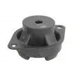 Suspension, boîte automatique REINHOCH RH12-0003 - Visuel 1