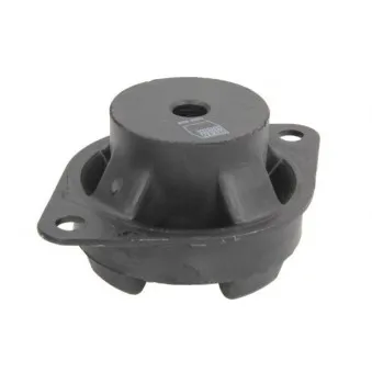 Suspension, boîte automatique REINHOCH