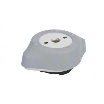 Suspension, boîte automatique REINHOCH RH12-0009