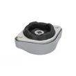 Suspension, boîte automatique REINHOCH RH12-0009 - Visuel 2