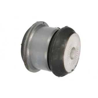 Suspension, support de boîte automatique REINHOCH RH12-0029
