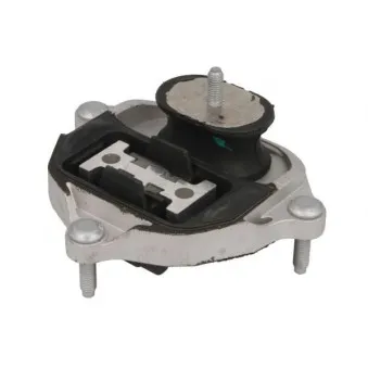Suspension, boîte automatique REINHOCH RH12-0030
