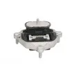 Suspension, boîte automatique REINHOCH RH12-0032 - Visuel 3
