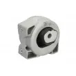 Suspension, boîte automatique arrière droit REINHOCH RH12-3010 - Visuel 2