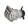 Pompe hydraulique, direction TREEZER TRE30054 - Visuel 2