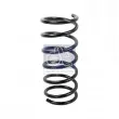 Ressort de suspension DT 12.60076 - Visuel 1